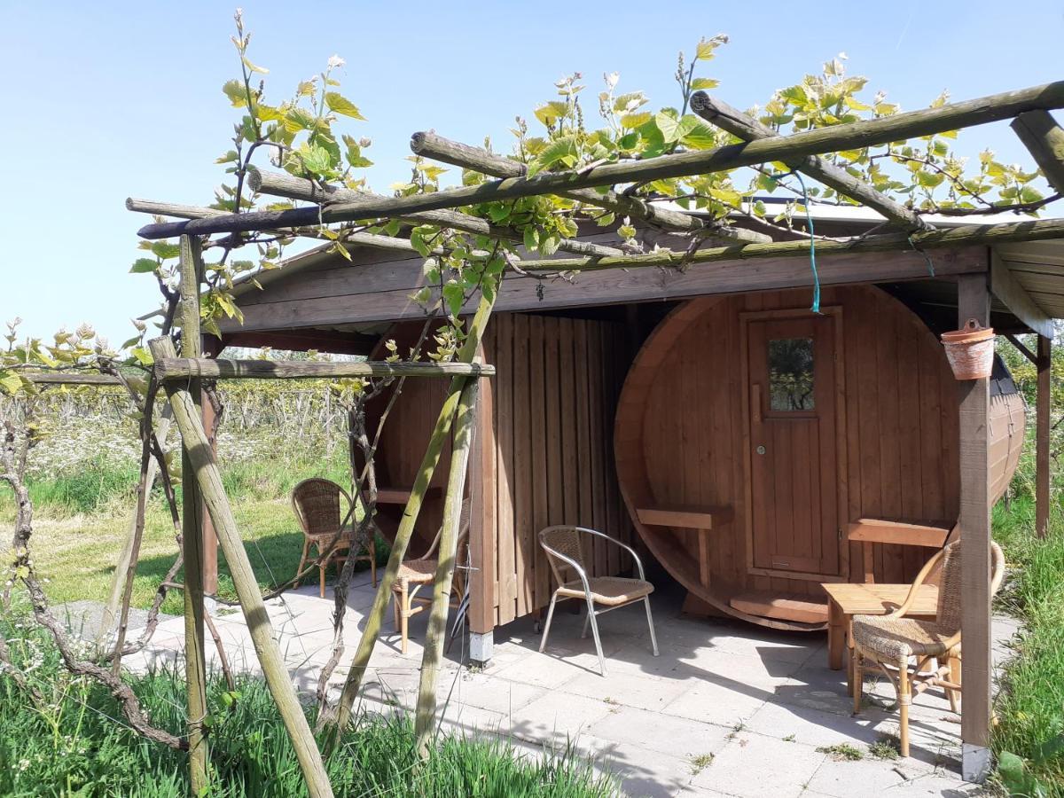 Wijndomein De Vier Ambachten -Overnachten In De Wijngaard Simonshaven Exteriér fotografie