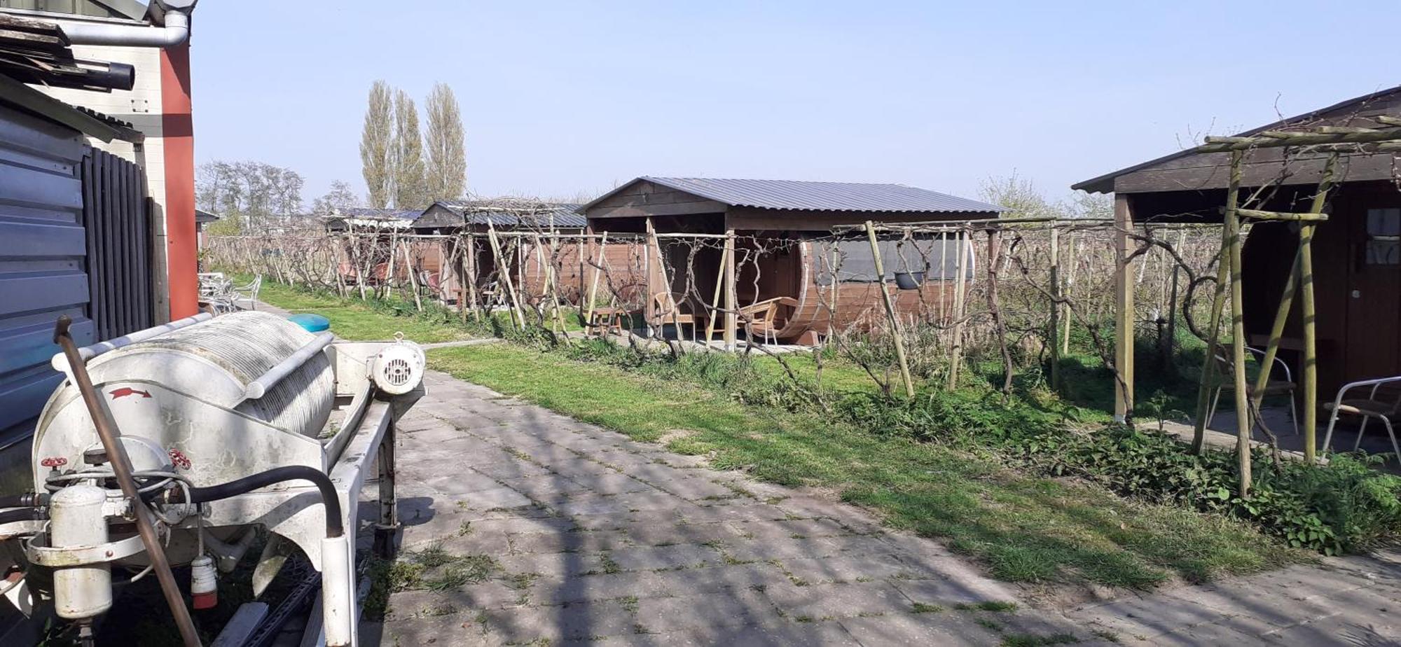 Wijndomein De Vier Ambachten -Overnachten In De Wijngaard Simonshaven Exteriér fotografie